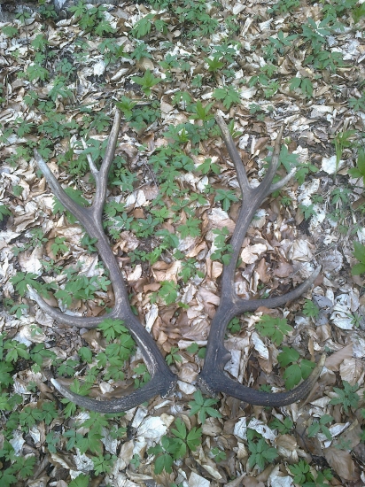 konecne aj ked rok stare ;) 14-torak...