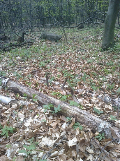 prvy pohlad k fotke ID-235659 (druhy do paru)