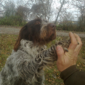 Give me five :D