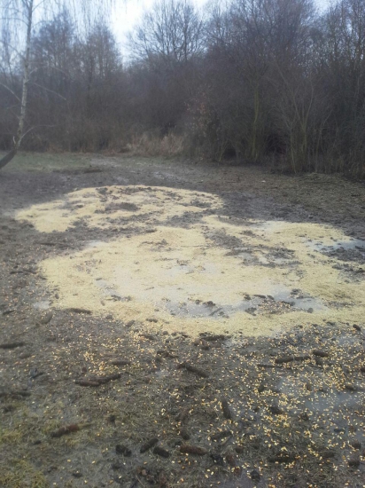 pocasie nepraje ,ale krmit treba...