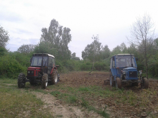 kukuricka zasiata :)