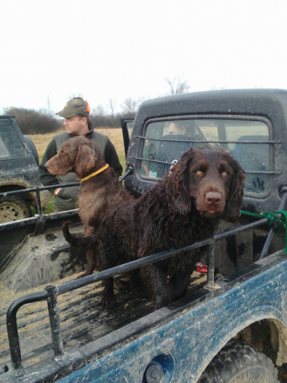 po spolocnej polovacke