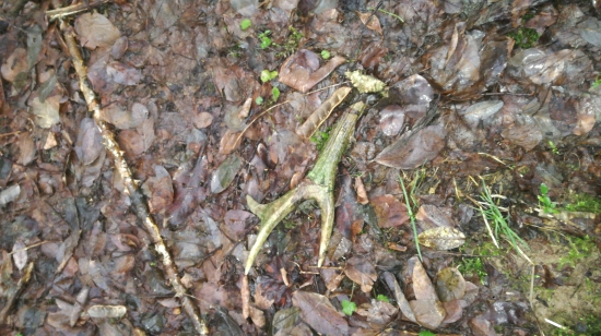 Starší,ale pocita sa....