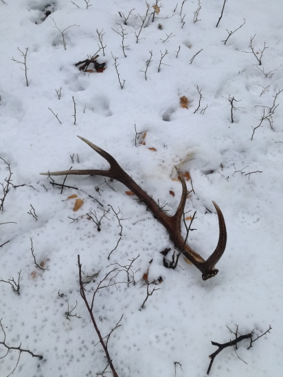 Hlboko v lese na lezovisku 10-torak