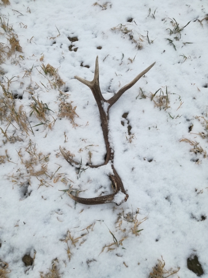 10-torak 2,25kg 95cm