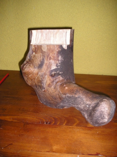 Samorast jak cyp :-D