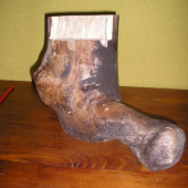 Samorast jak cyp :-D