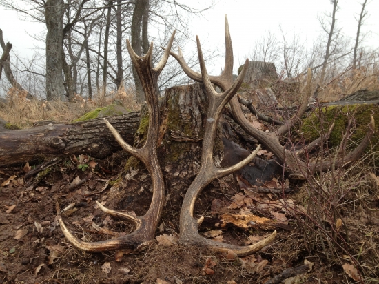 Pri vyznačovaní ťažby...