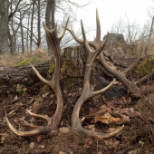 Pri vyznačovaní ťažby...