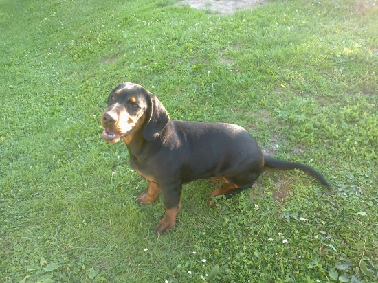 Bady so slubici 3 mesiace