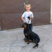 Bady a samko