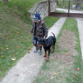 Bady a samko