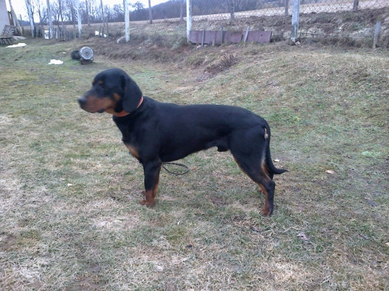 Bady spod slubici 12 mesiacov