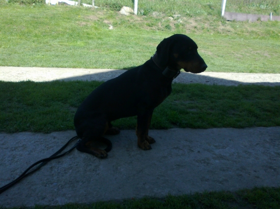 Huncut z hrachovskeho vrska