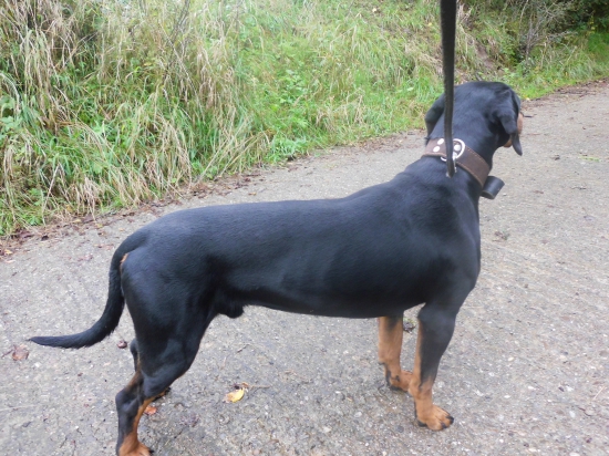 Huncut z hrachovskeho vrska 12 mesiacov