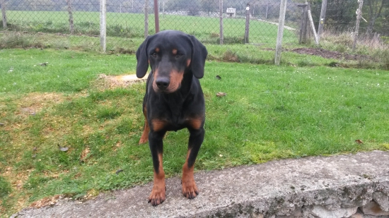 Huncut z hrachovskeho vrska