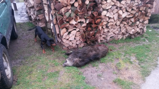 Huncut z hrachovskeho vrska