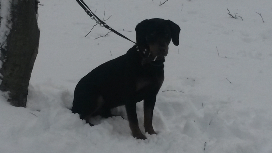 Huncut z hrachovskeho vrska