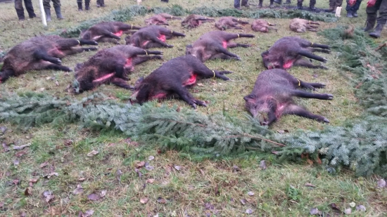 Spolocna polovacka PZ Javornik