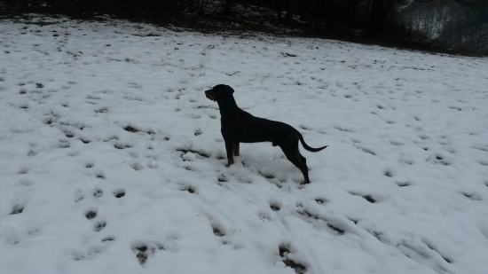 Huncut z hrachovskeho vrska