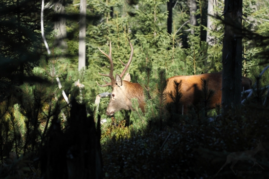 Poslední vyfocený...