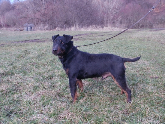 Erdojaro Premvadasz Jack. Vitaz-MSBL-Podolie 2012