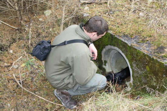 Nejsou tam kanálie?