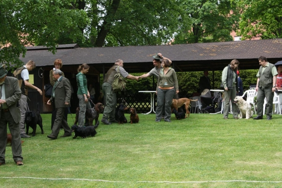 Jaké milé setkání.