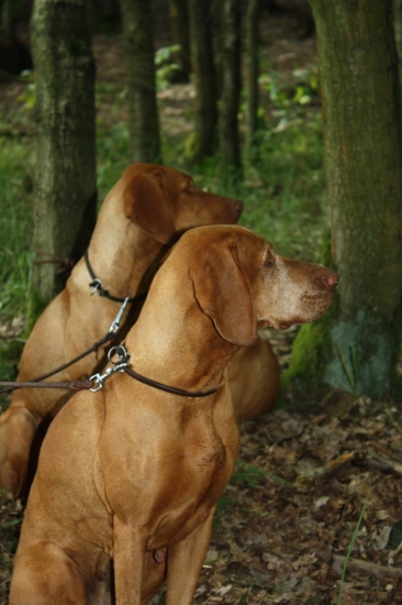 Zasloužilá matka a její dcera