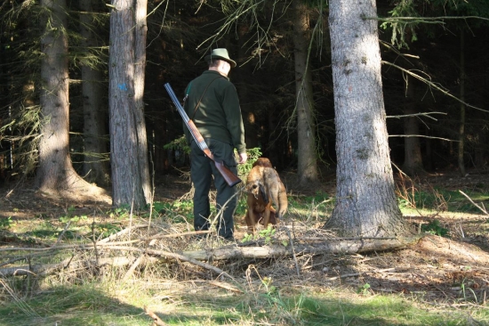 Předání lišky na všestranných zkouškách