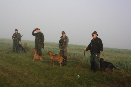 Nástup na práce na velkém poli