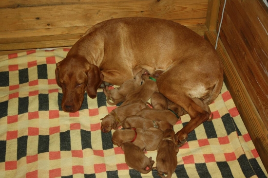 Tak už jsme všichni venku.