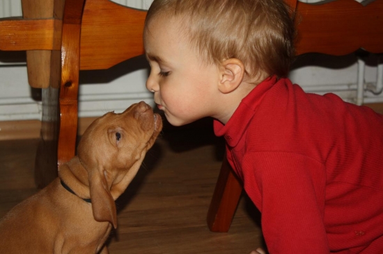 Dvě nové generace.