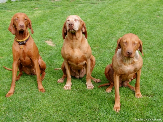 Matka a její dvě dcery