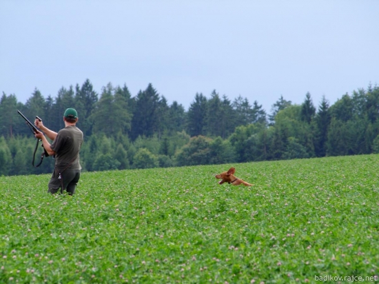 Trochu jsme trénovali