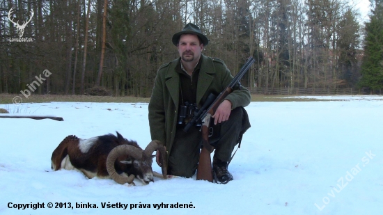Beran z obory