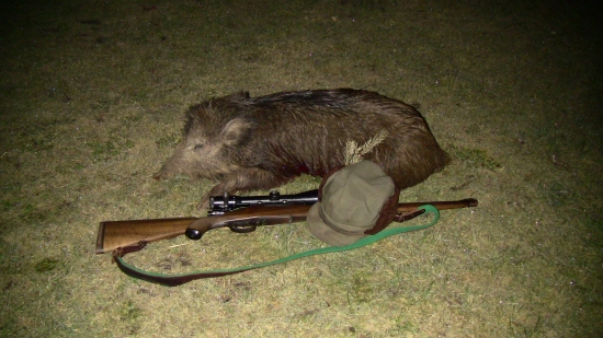 Neprší,ale stále kape