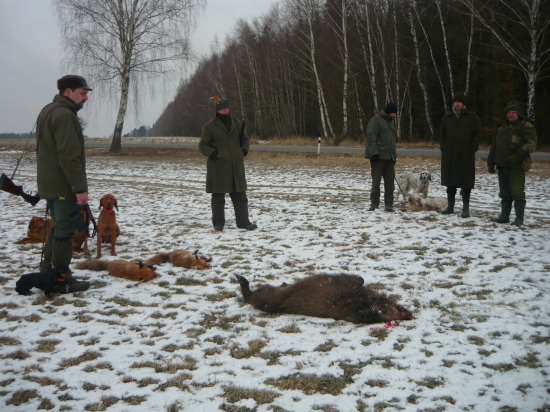 Když jsme šli na lišky II.