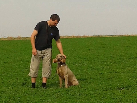 Dočasná změna barvy