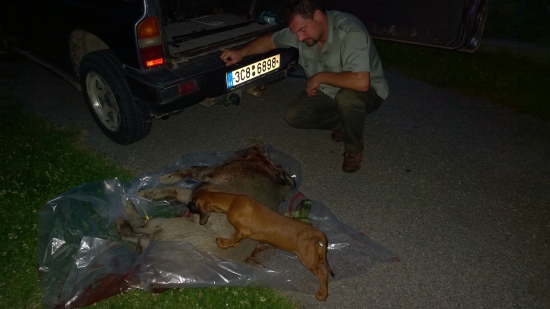 První setkání s ulovenou zvěří