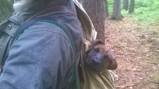 Únava a déšť je sviňa