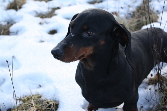 Odešla do nebeských revírů