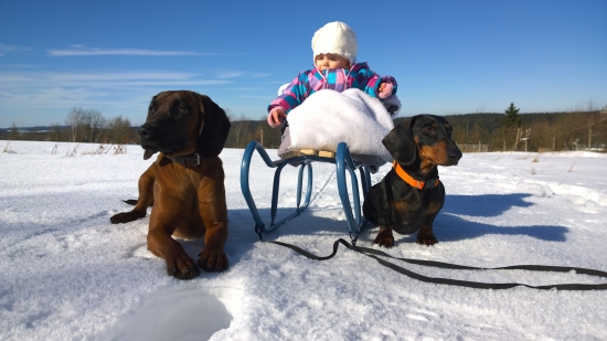 A ty koukej ležet!!