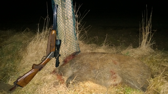 Včerejší prasečí rychlovka