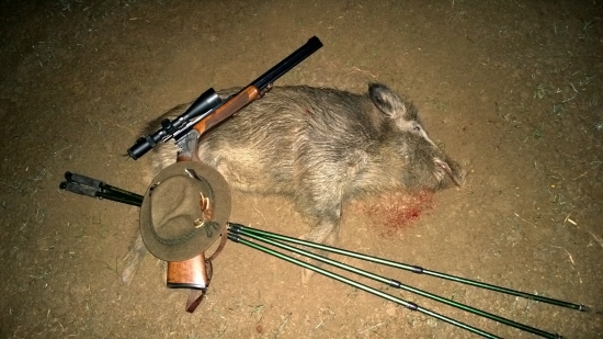 Bachyňka od Ovčína