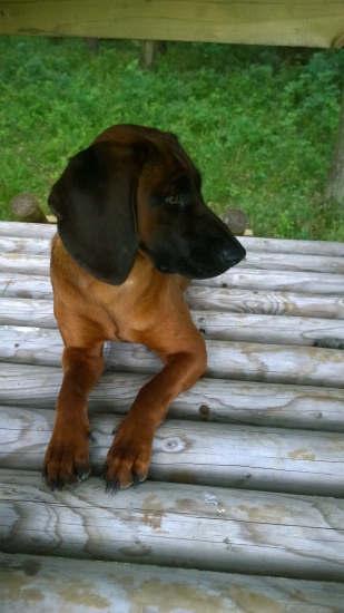 Neotravuj s focením....