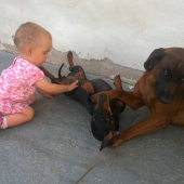 Socializace