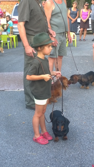 Malý vůdce malého psa