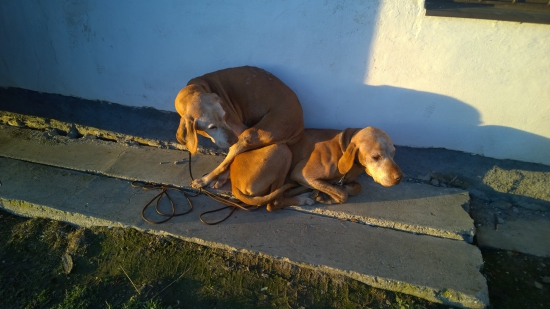 Jsem tě porodila, tak mi můžeš na stará kolena posloužit