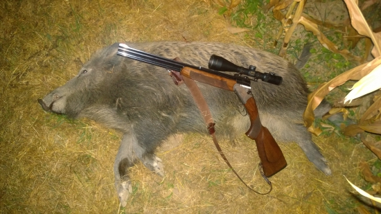 Lončák z Třešňovky